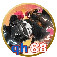 qh88